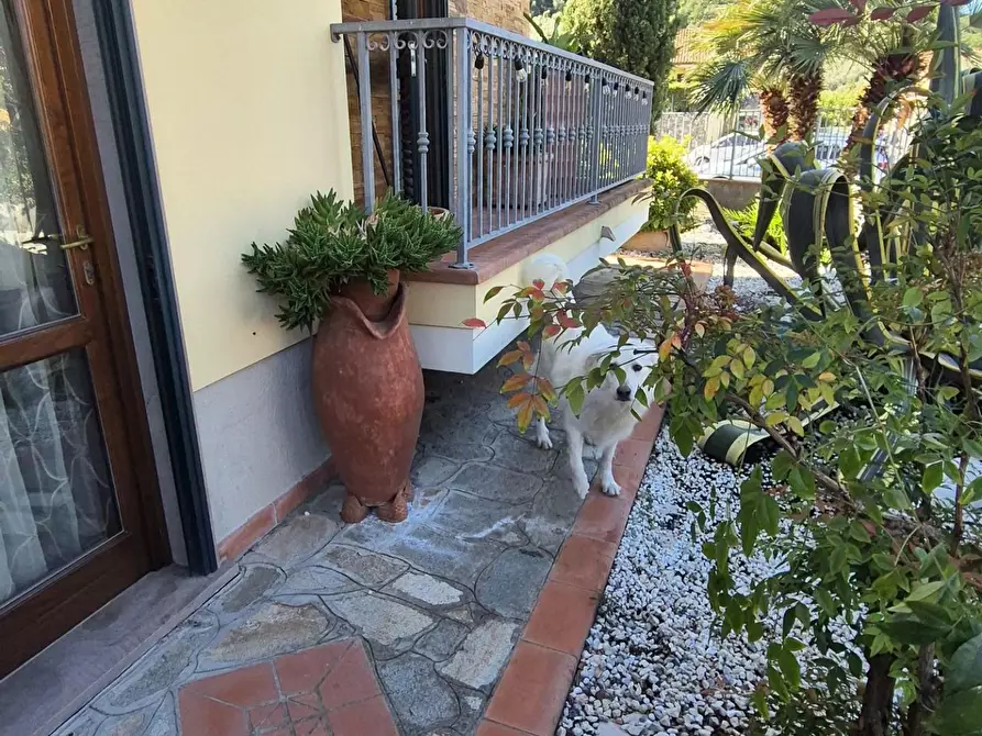 Immagine 107 di Villa in vendita  a Massarosa