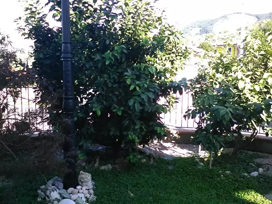 Immagine 119 di Villa in vendita  a Massarosa