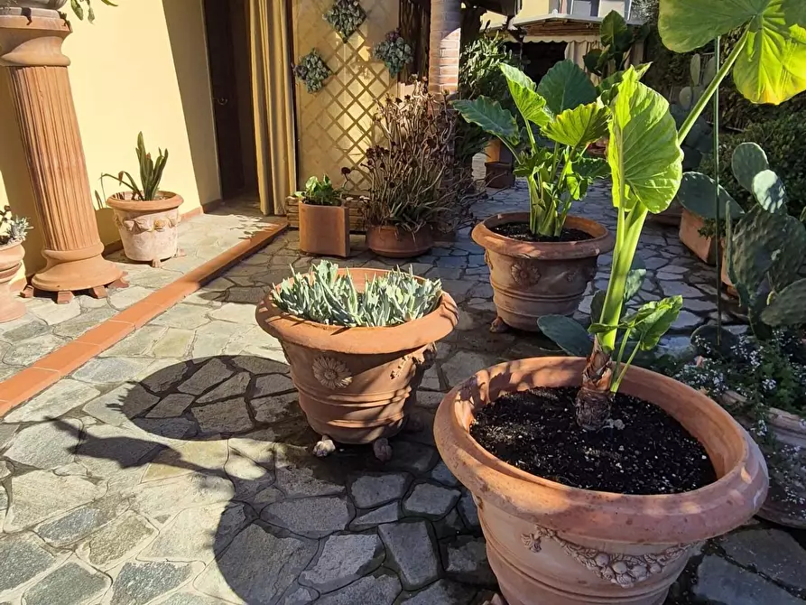 Immagine 15 di Villa in vendita  a Massarosa