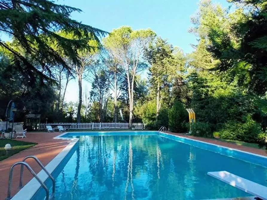 Immagine 5 di Casa colonica in vendita  a San Miniato