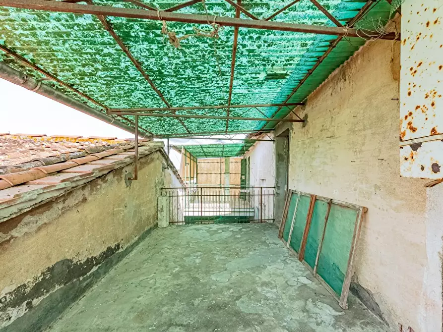 Immagine 26 di Terratetto in vendita  a Terricciola