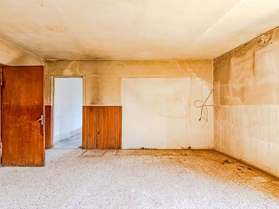 Immagine 24 di Terratetto in vendita  a Terricciola