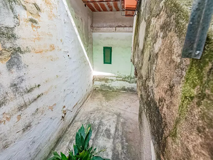 Immagine 30 di Terratetto in vendita  a Terricciola