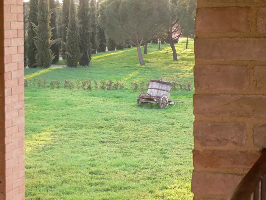 Immagine 19 di Casa colonica in vendita  a Siena