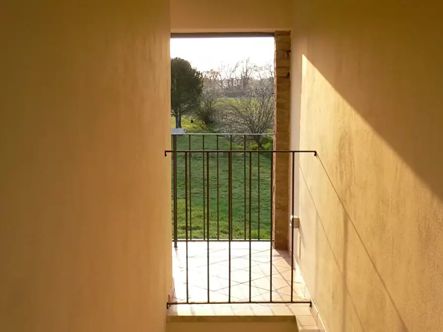 Immagine 17 di Casa colonica in vendita  a Siena