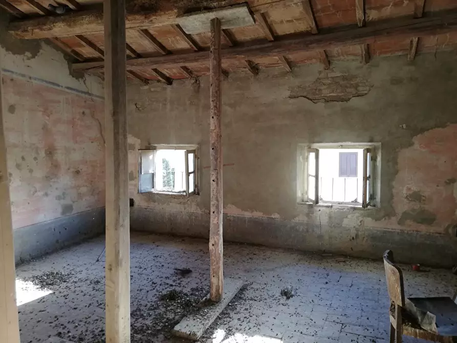 Immagine 6 di Terratetto in vendita  a Lajatico