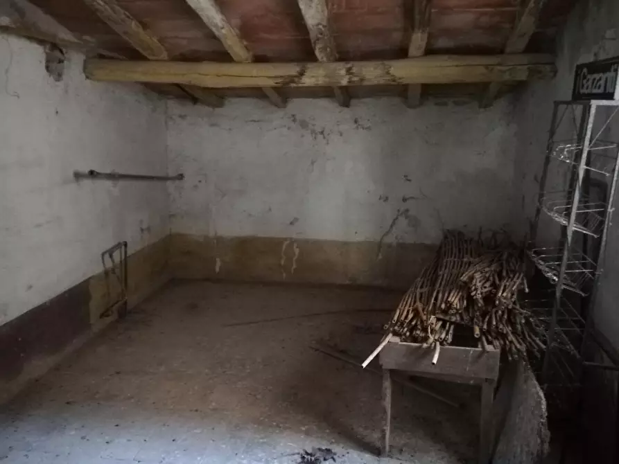 Immagine 5 di Terratetto in vendita  a Lajatico