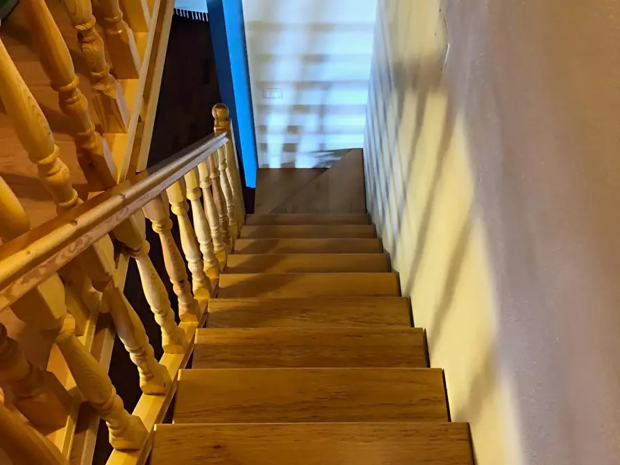 Immagine 20 di Appartamento in affitto  a Pisa