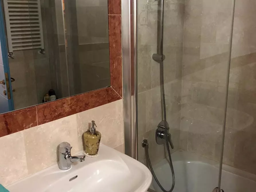 Immagine 19 di Appartamento in affitto  a Pisa