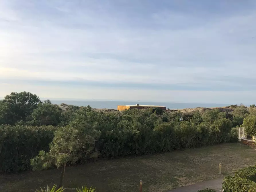 Immagine 6 di Appartamento in affitto  a Pisa