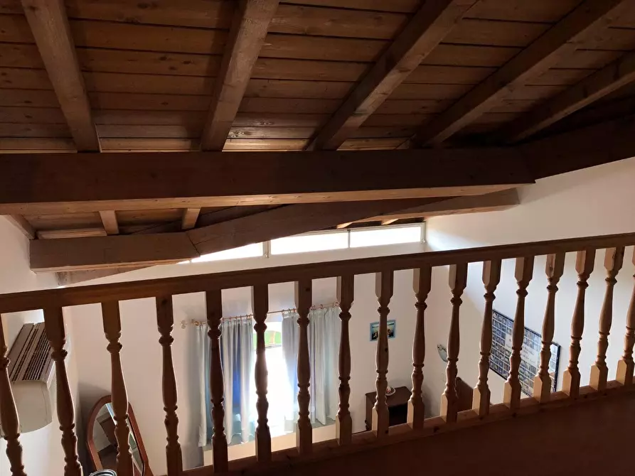 Immagine 22 di Appartamento in affitto  a Pisa