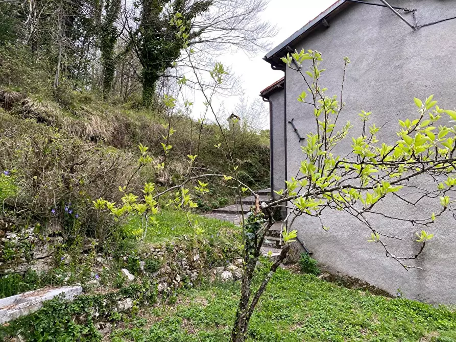 Immagine 1 di Terratetto in vendita  a Castelnuovo Di Garfagnana