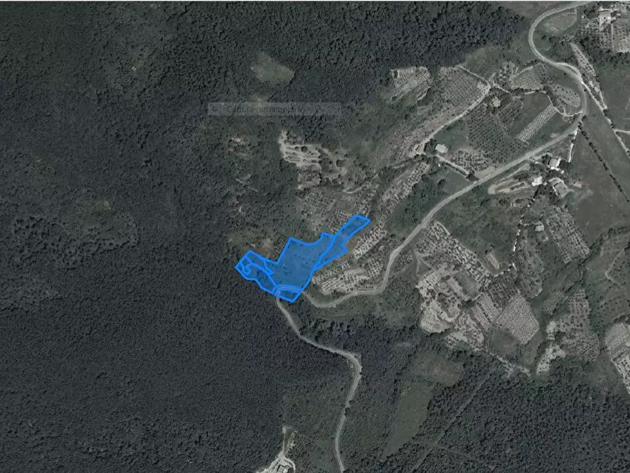 Immagine 2 di Terreno agricolo in vendita  a Chianni