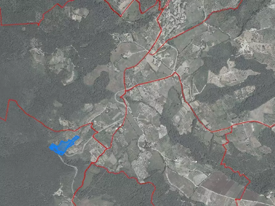 Immagine 5 di Terreno agricolo in vendita  a Chianni