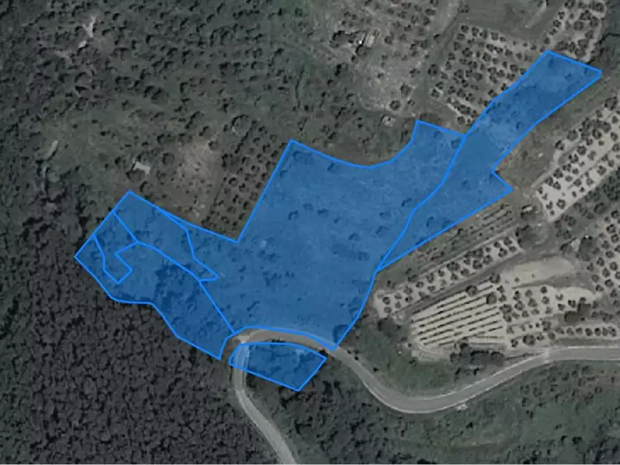 Immagine 4 di Terreno agricolo in vendita  a Chianni