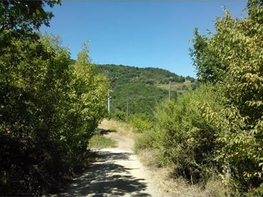 Immagine 1 di Terreno agricolo in vendita  a Chianni