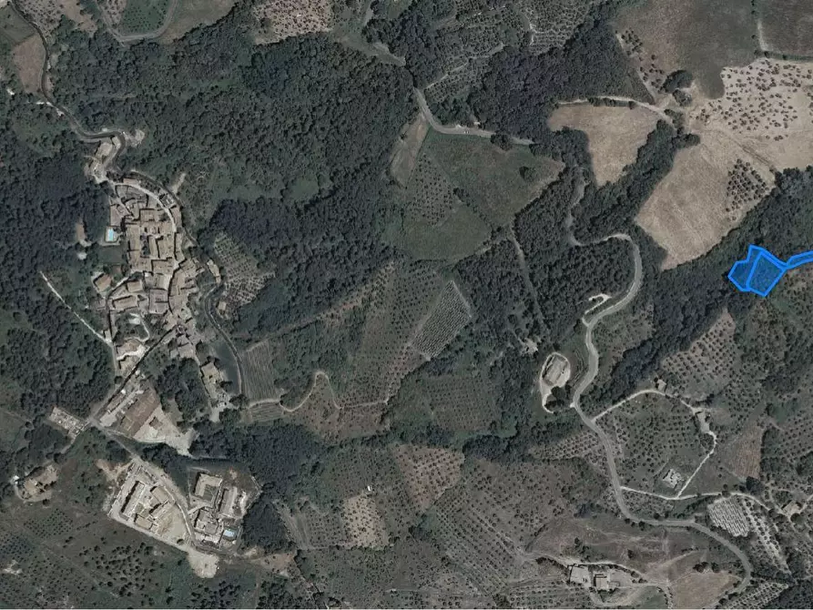 Immagine 4 di Terreno agricolo in vendita  a Chianni
