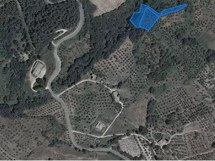 Immagine 5 di Terreno agricolo in vendita  a Chianni