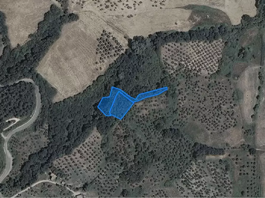 Immagine 2 di Terreno agricolo in vendita  a Chianni