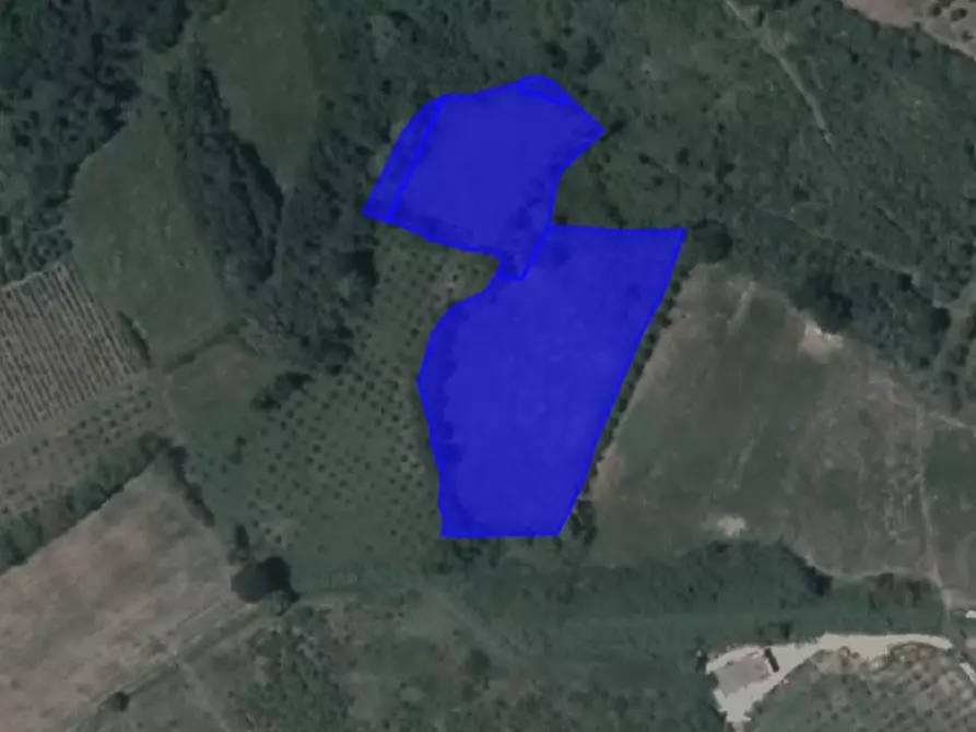 Immagine 5 di Terreno agricolo in vendita  a Empoli