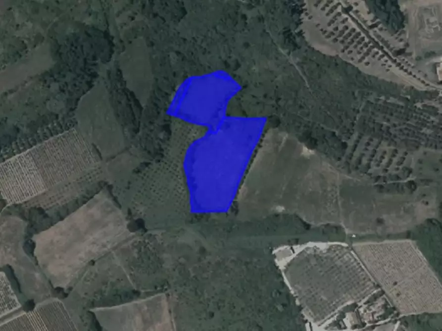 Immagine 3 di Terreno agricolo in vendita  a Empoli