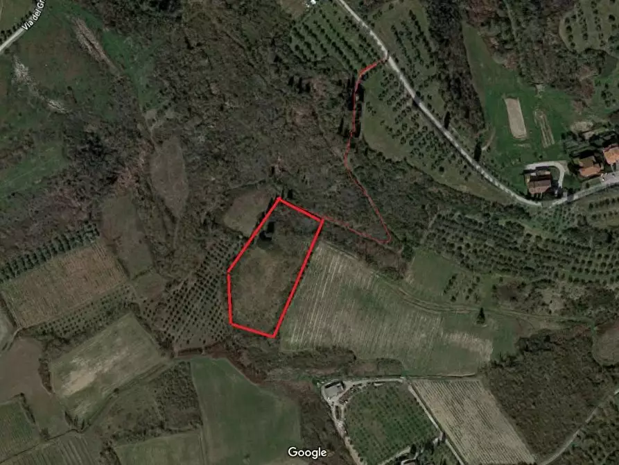 Immagine 6 di Terreno agricolo in vendita  a Empoli