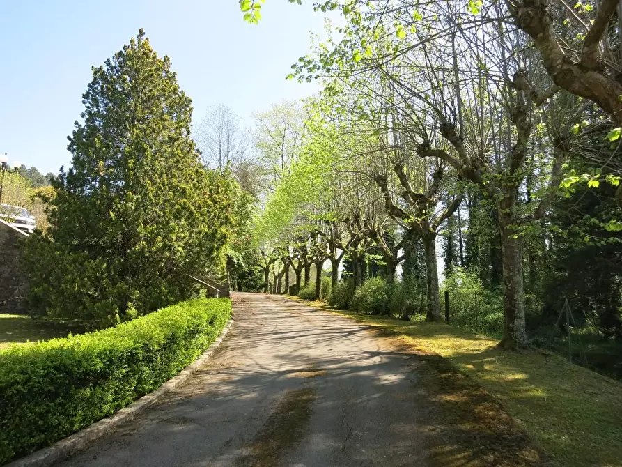 Immagine 45 di Villa in vendita  a Pescaglia