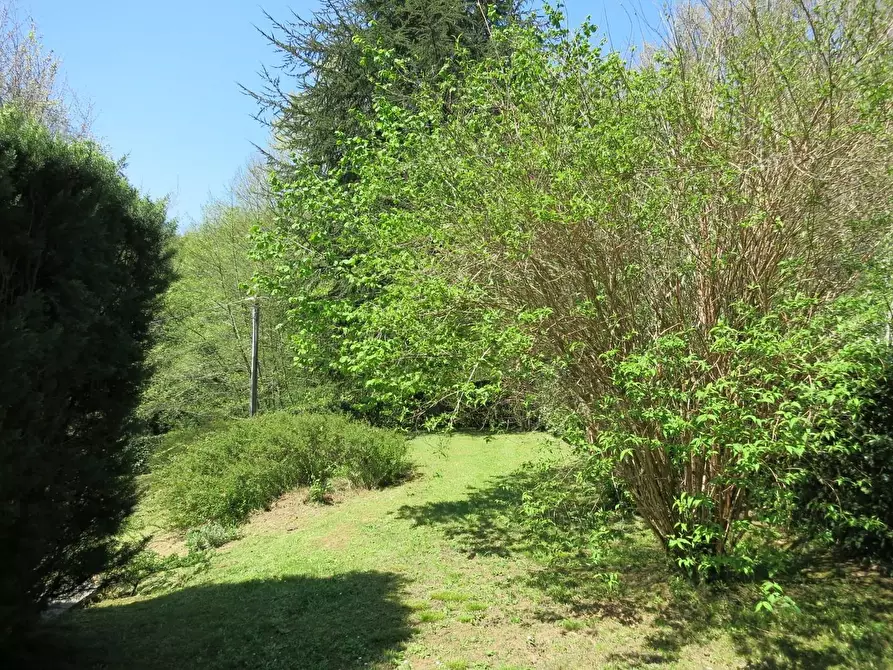 Immagine 41 di Villa in vendita  a Pescaglia