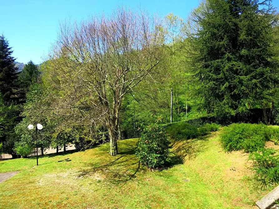 Immagine 25 di Villa in vendita  a Pescaglia