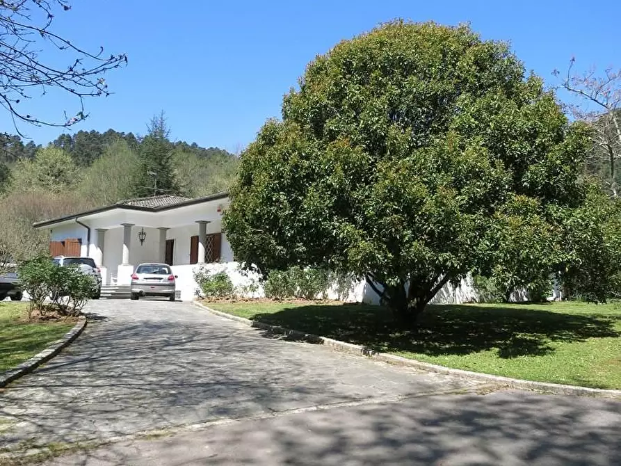 Immagine 48 di Villa in vendita  a Pescaglia