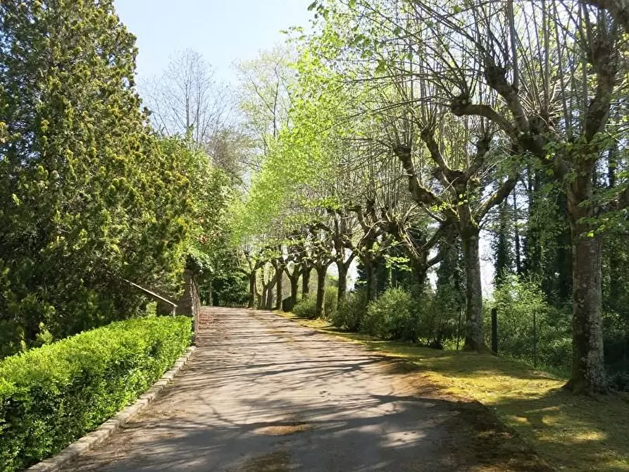 Immagine 46 di Villa in vendita  a Pescaglia