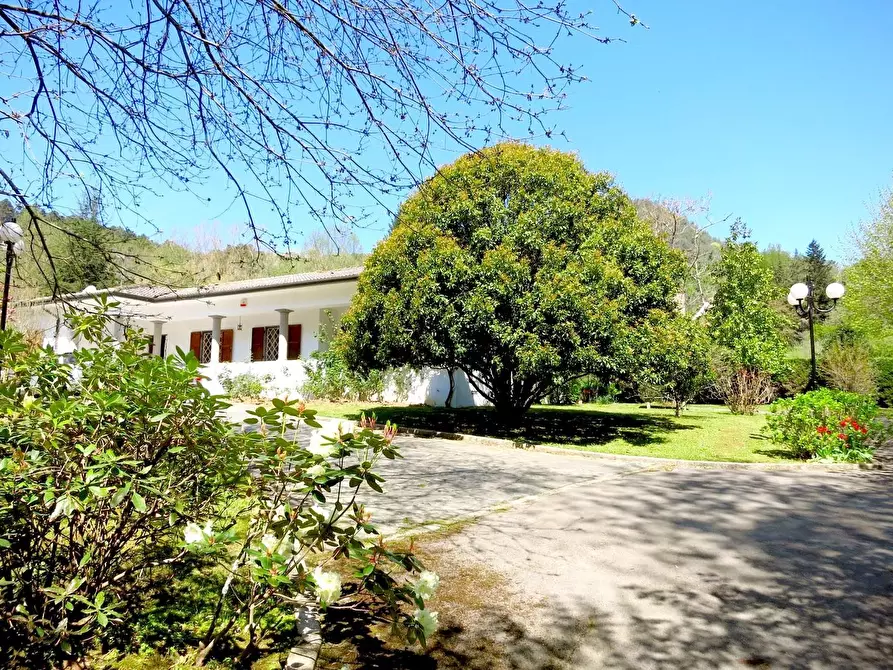 Immagine 1 di Villa in vendita  a Pescaglia