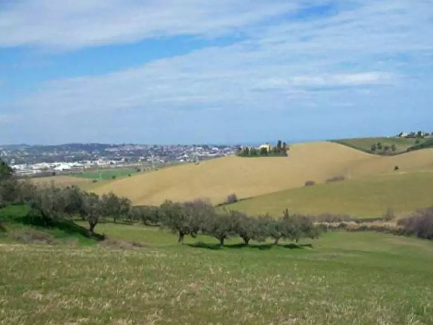 Immagine 1 di Terreno agricolo in vendita  a San Miniato