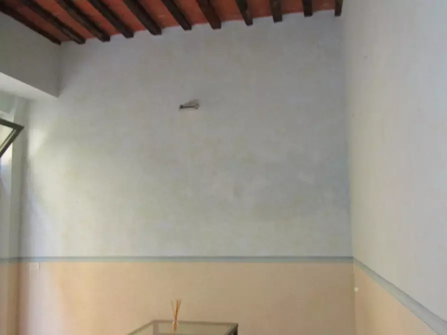 Immagine 4 di Locale commerciale in affitto  a Santa Croce Sull'arno