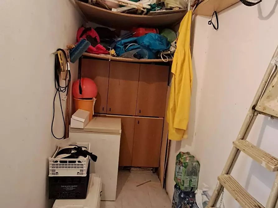 Immagine 22 di Appartamento in vendita  a Cecina