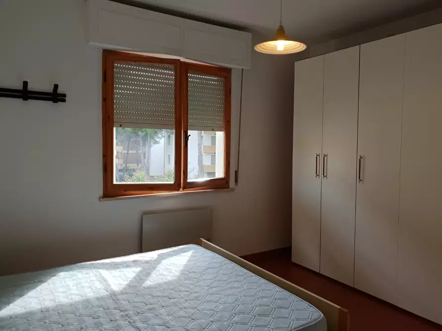 Immagine 8 di Appartamento in affitto  a Rosignano Marittimo