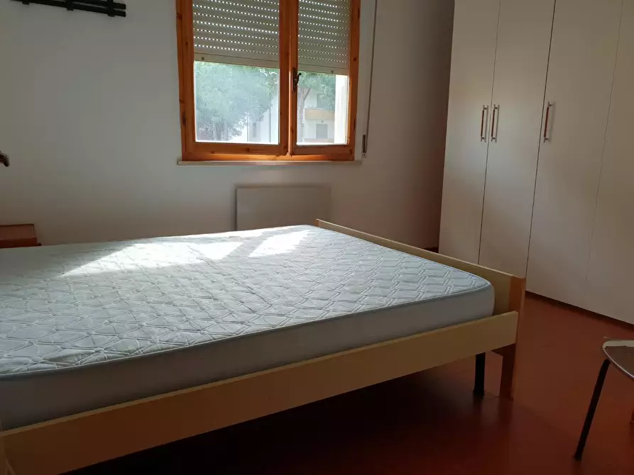 Immagine 3 di Appartamento in affitto  a Rosignano Marittimo