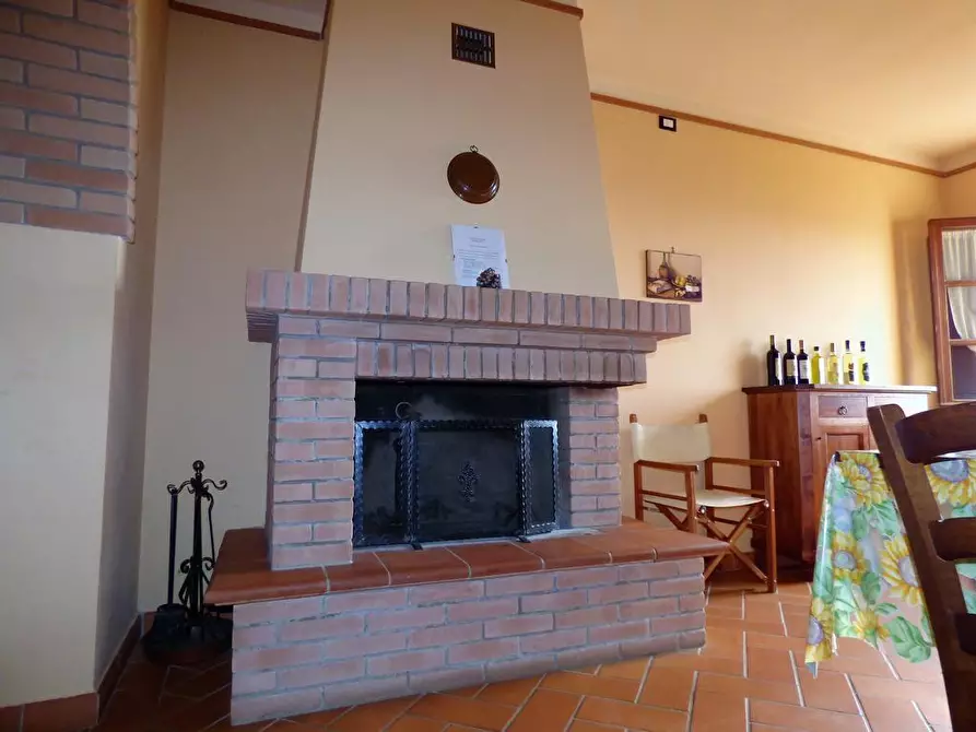 Immagine 18 di Casa colonica in vendita  a Palaia