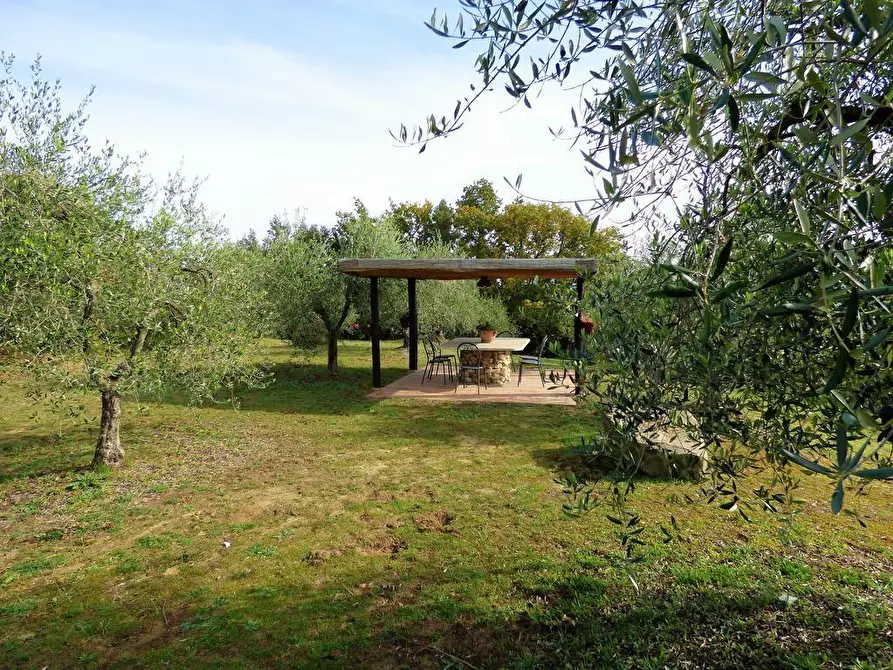 Immagine 21 di Casa colonica in vendita  a Palaia