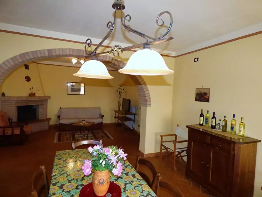 Immagine 15 di Casa colonica in vendita  a Palaia