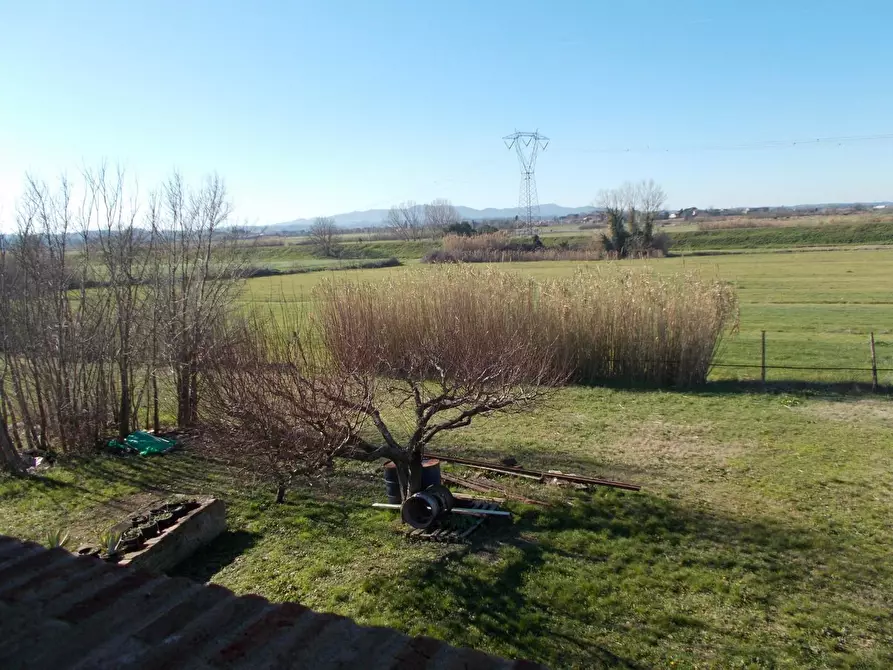 Immagine 15 di Porzione di casa in vendita  a Crespina Lorenzana