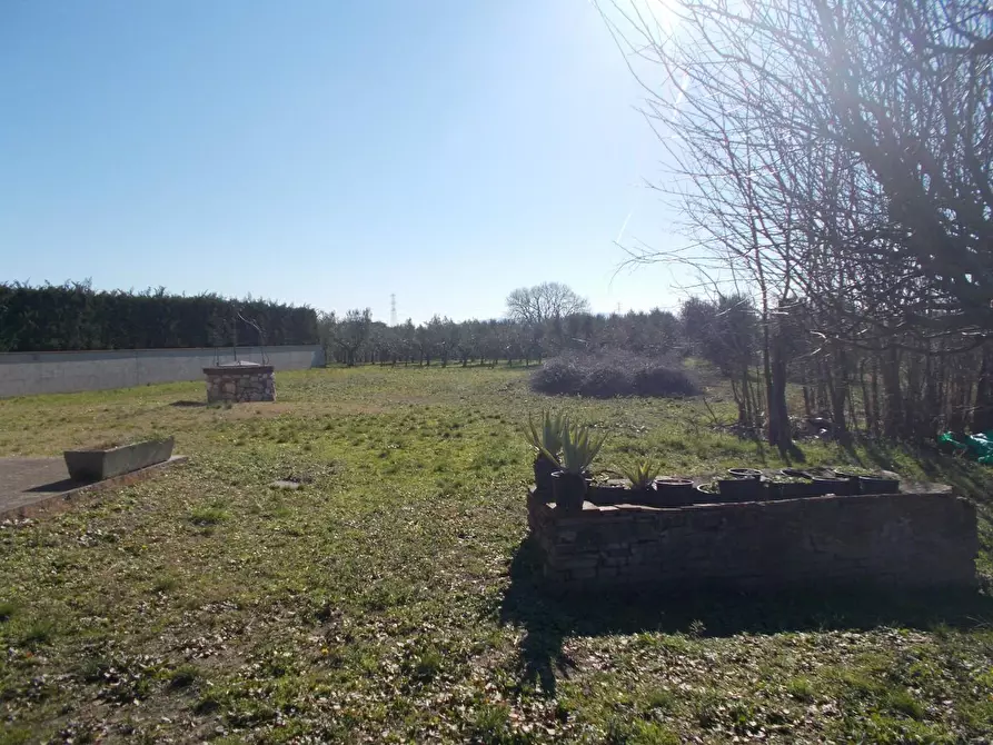 Immagine 32 di Porzione di casa in vendita  a Crespina Lorenzana