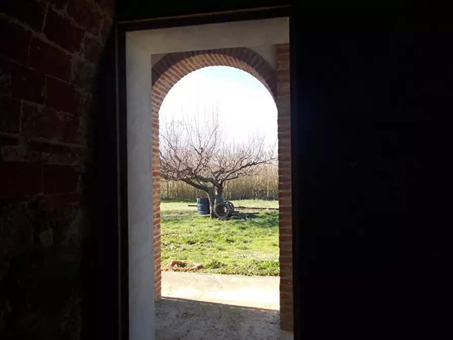 Immagine 28 di Porzione di casa in vendita  a Crespina Lorenzana
