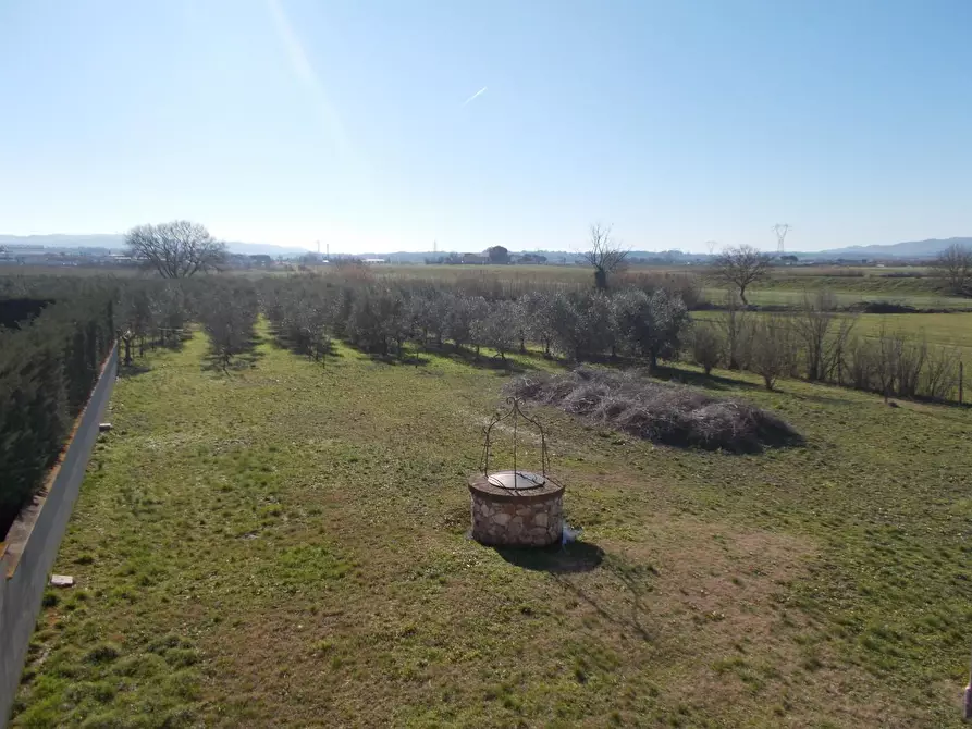 Immagine 14 di Porzione di casa in vendita  a Crespina Lorenzana