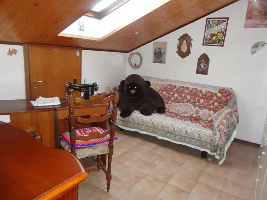 Immagine 19 di Casa semindipendente in vendita  a Carrara