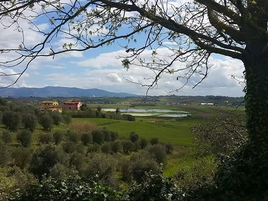 Immagine 10 di Villa in vendita  a Fucecchio