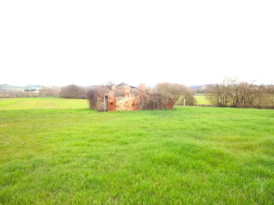 Immagine 5 di Casa colonica in vendita  a Gambassi Terme