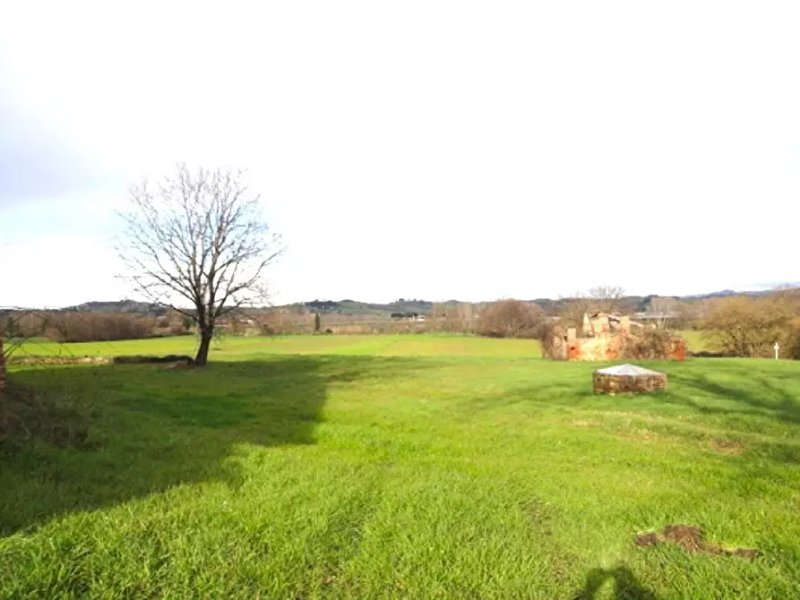 Immagine 6 di Casa colonica in vendita  a Gambassi Terme