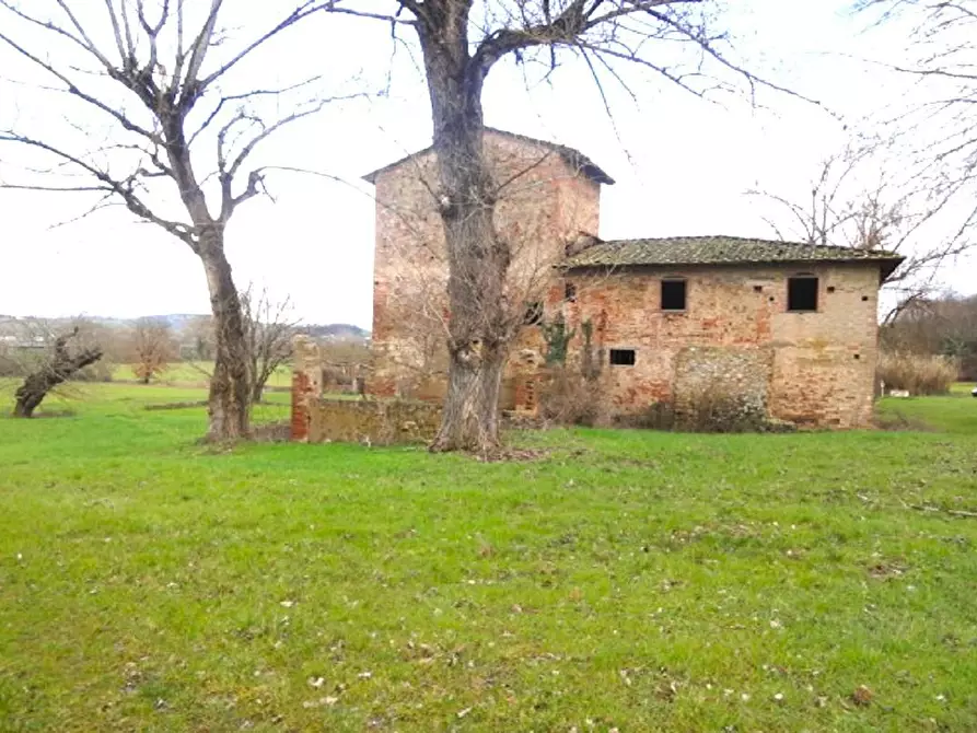 Immagine 4 di Casa colonica in vendita  a Gambassi Terme