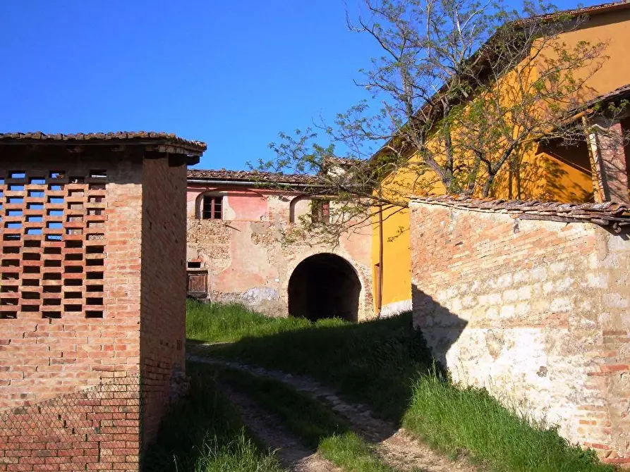 Immagine 17 di Casa colonica in vendita  a Certaldo